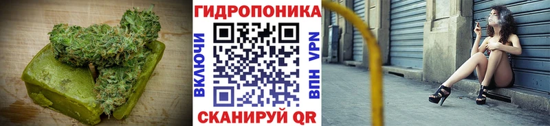 купить  сайты  Новое Девяткино  Canna-Cookies конопля 